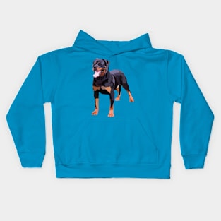 Rottweiler Kids Hoodie